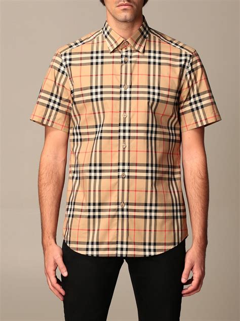 burberry hemd herren preis